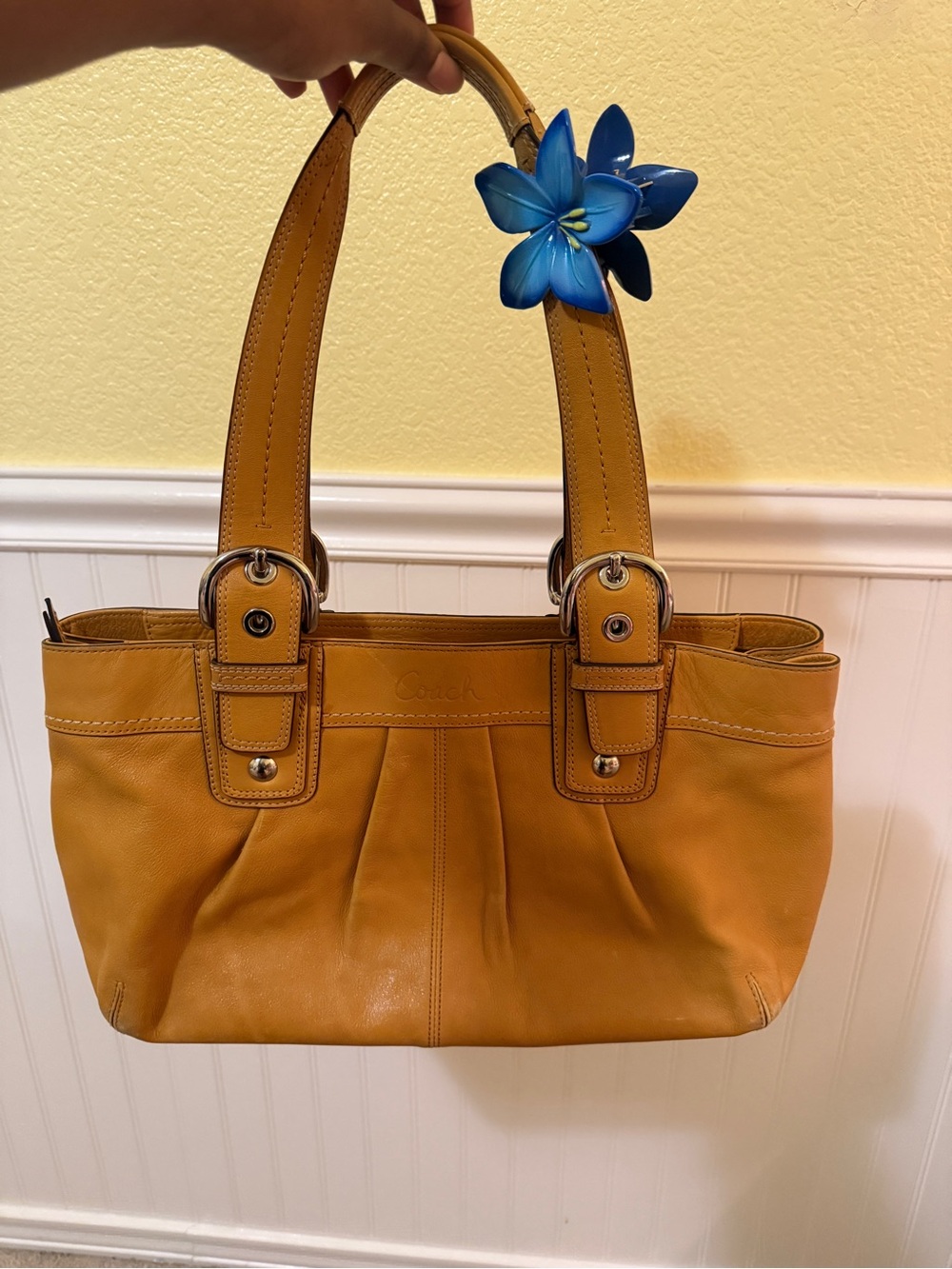 Vintage Coach 2010